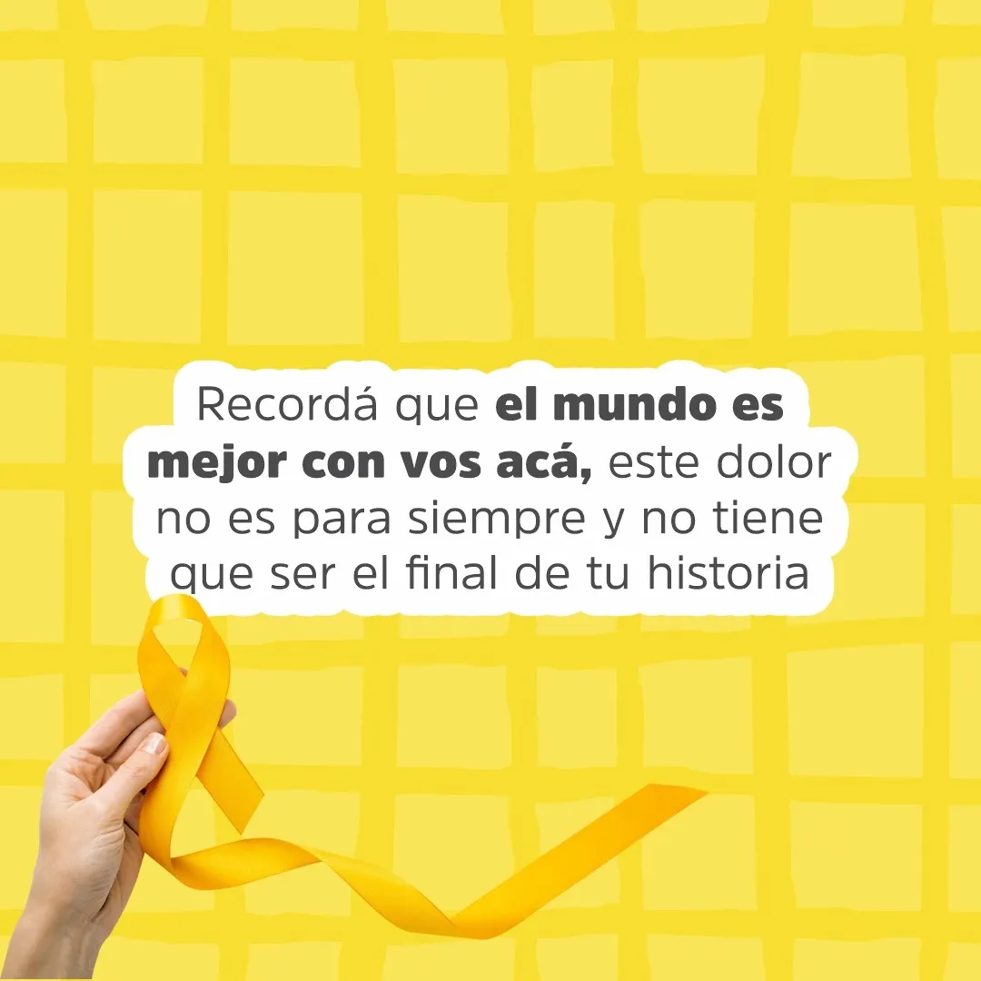 Imagen 5