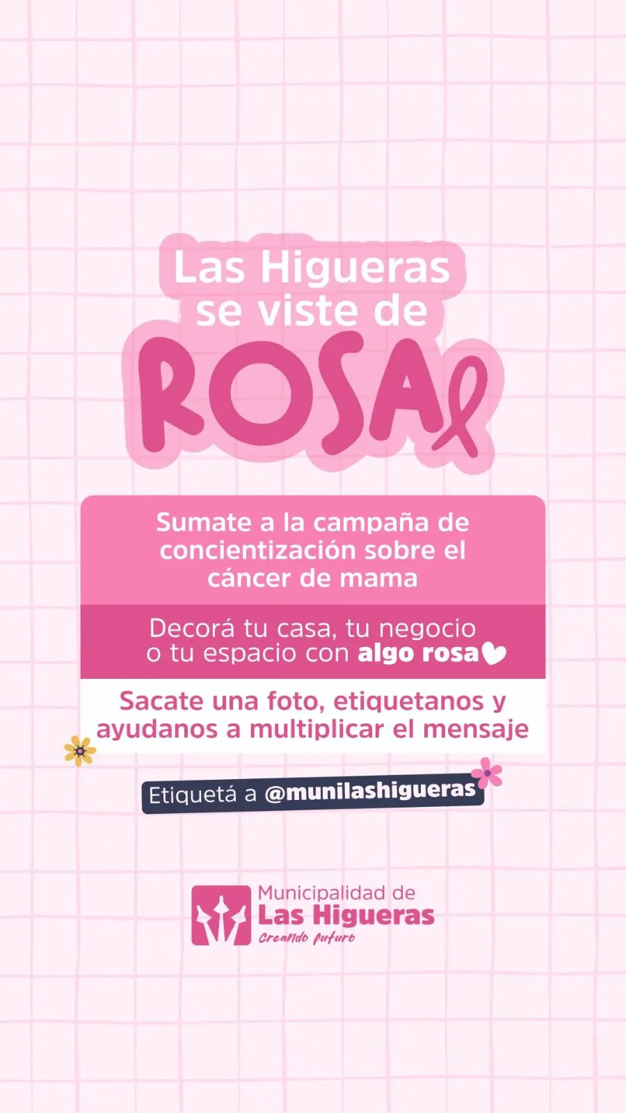 Imagen de la noticia: Las Higueras se viste de Rosa! 🩷🎀