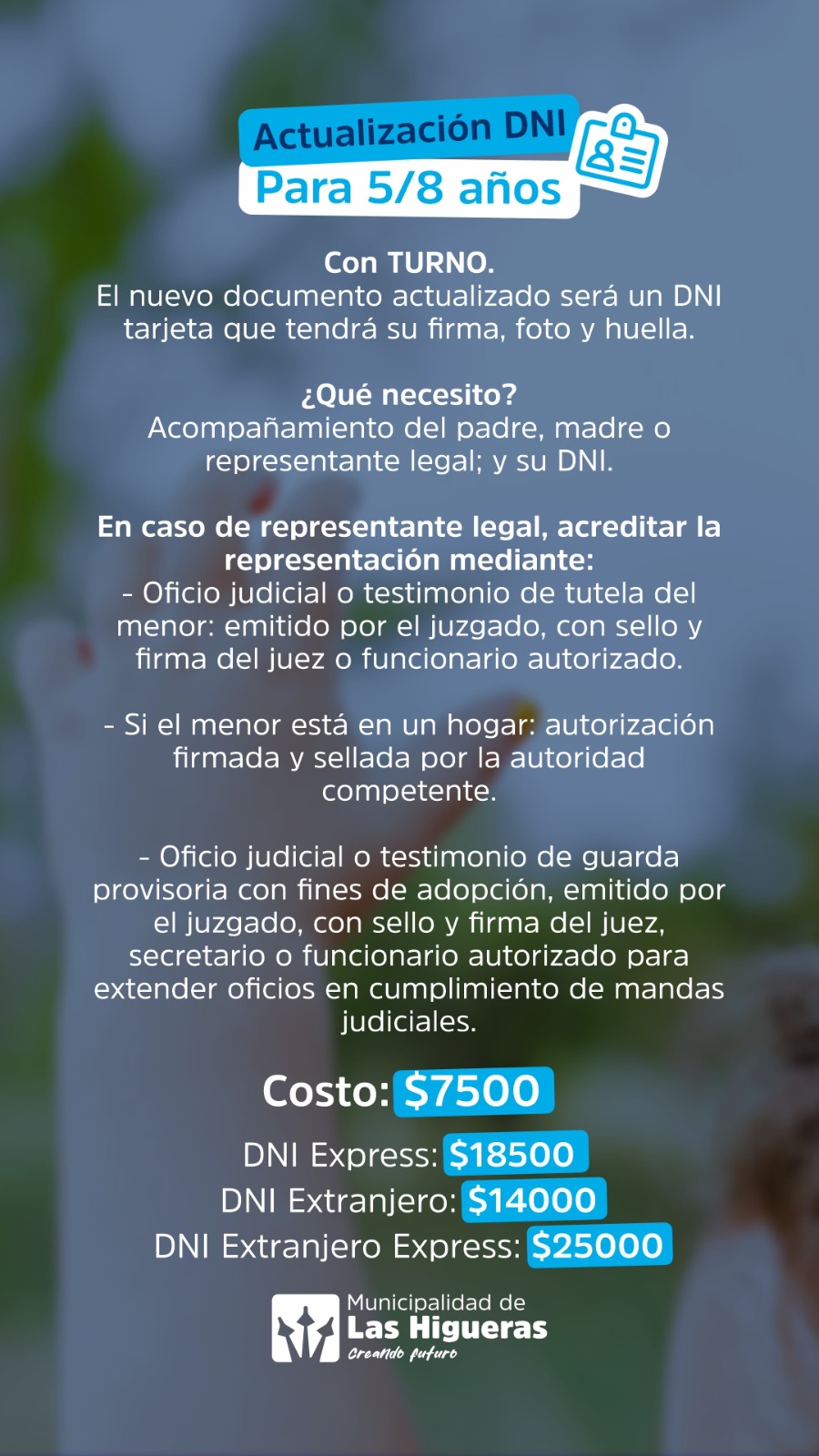 Imagen 2