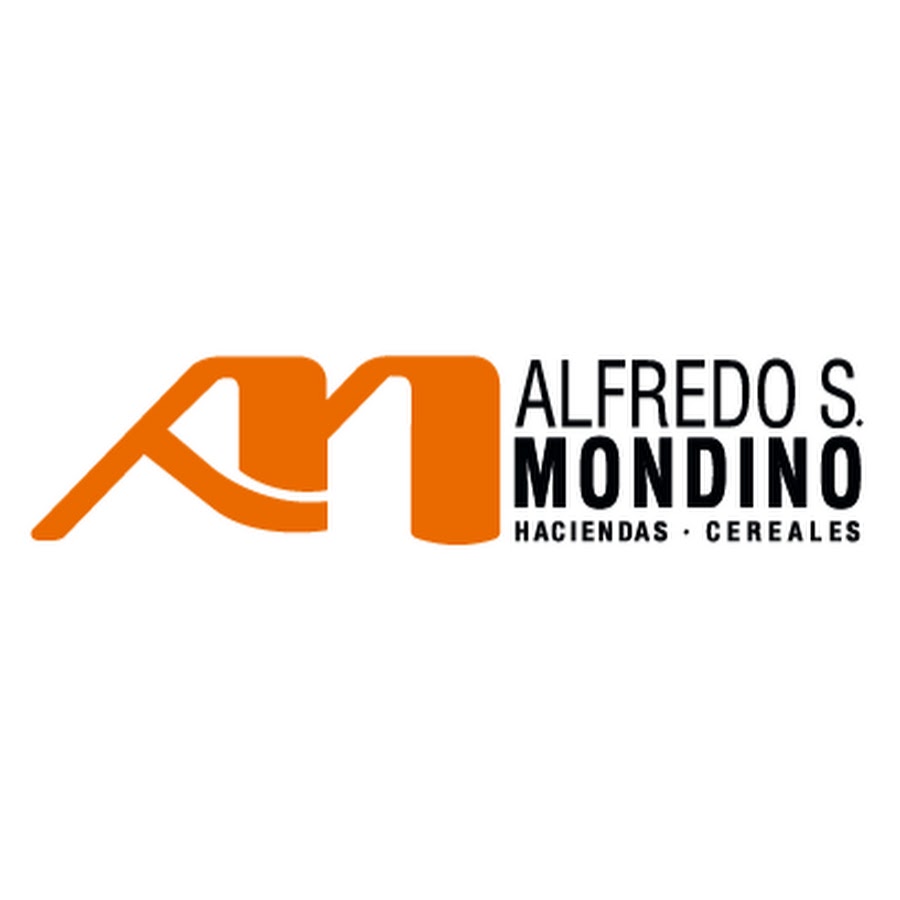 Imagen 12